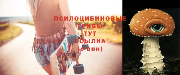 молекула духа Алзамай