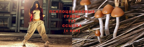 молекула духа Алзамай