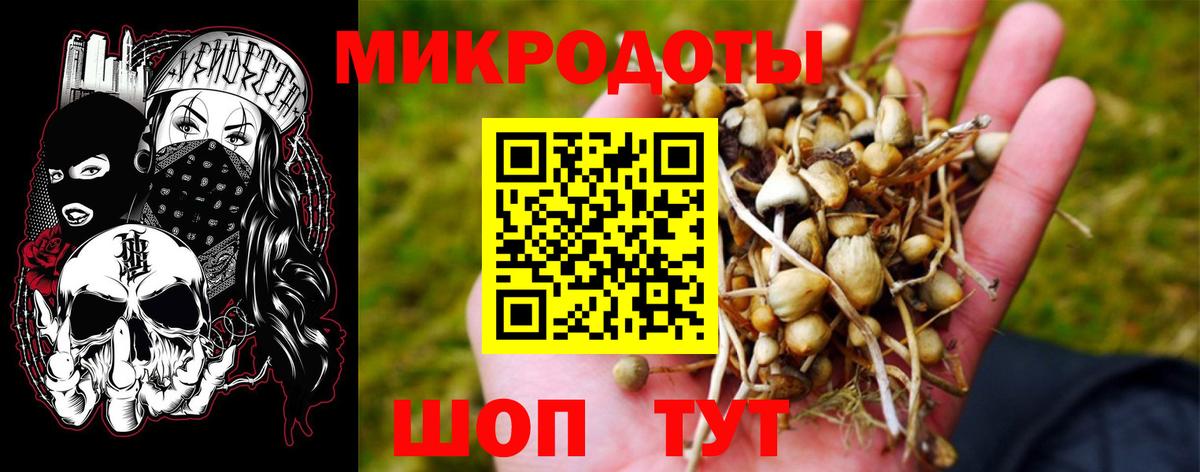 Псилоцибиновые грибы MAGIC MUSHROOMS Магадан