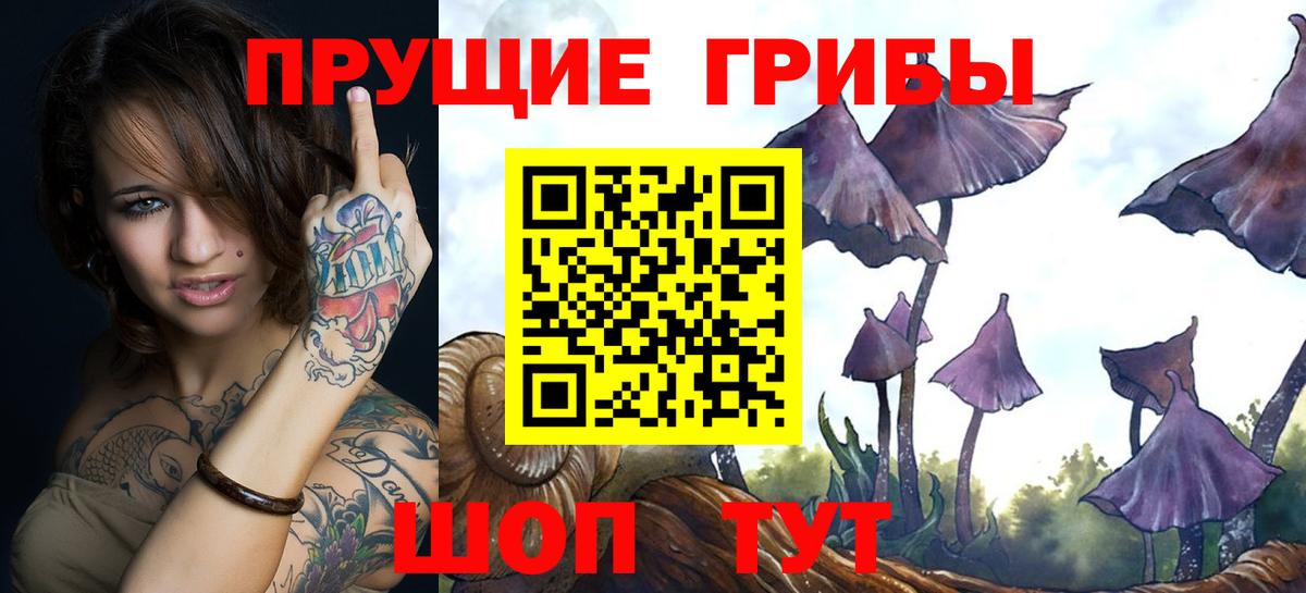 Магадан  наркошоп  Псилоцибиновые грибы MAGIC MUSHROOMS  Вход с VPN  Галлюциногенные грибы GOLDEN TEACHER 